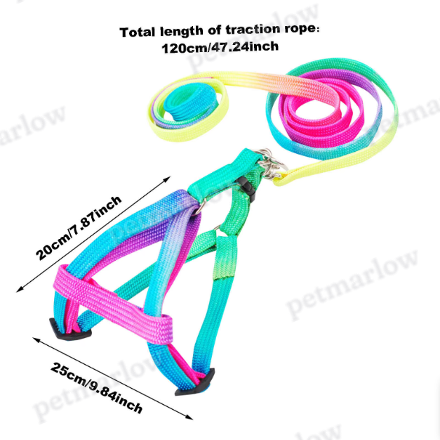 Coloured Harness with Adjustable Leash for Dogs – view 2