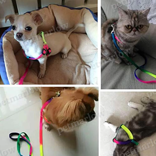 Coloured Harness with Adjustable Leash for Dogs – view 3