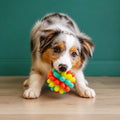 Colourful Bumpy Dog Chew Ball