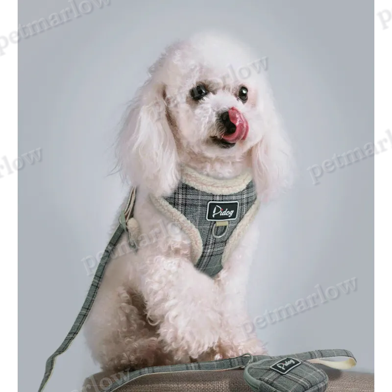 Comfortable Checkered Harness with Leash - With Practical Dog Bag for Walks – view 6