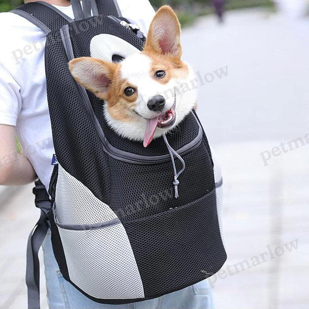 Companion Dog Backpack – view 6