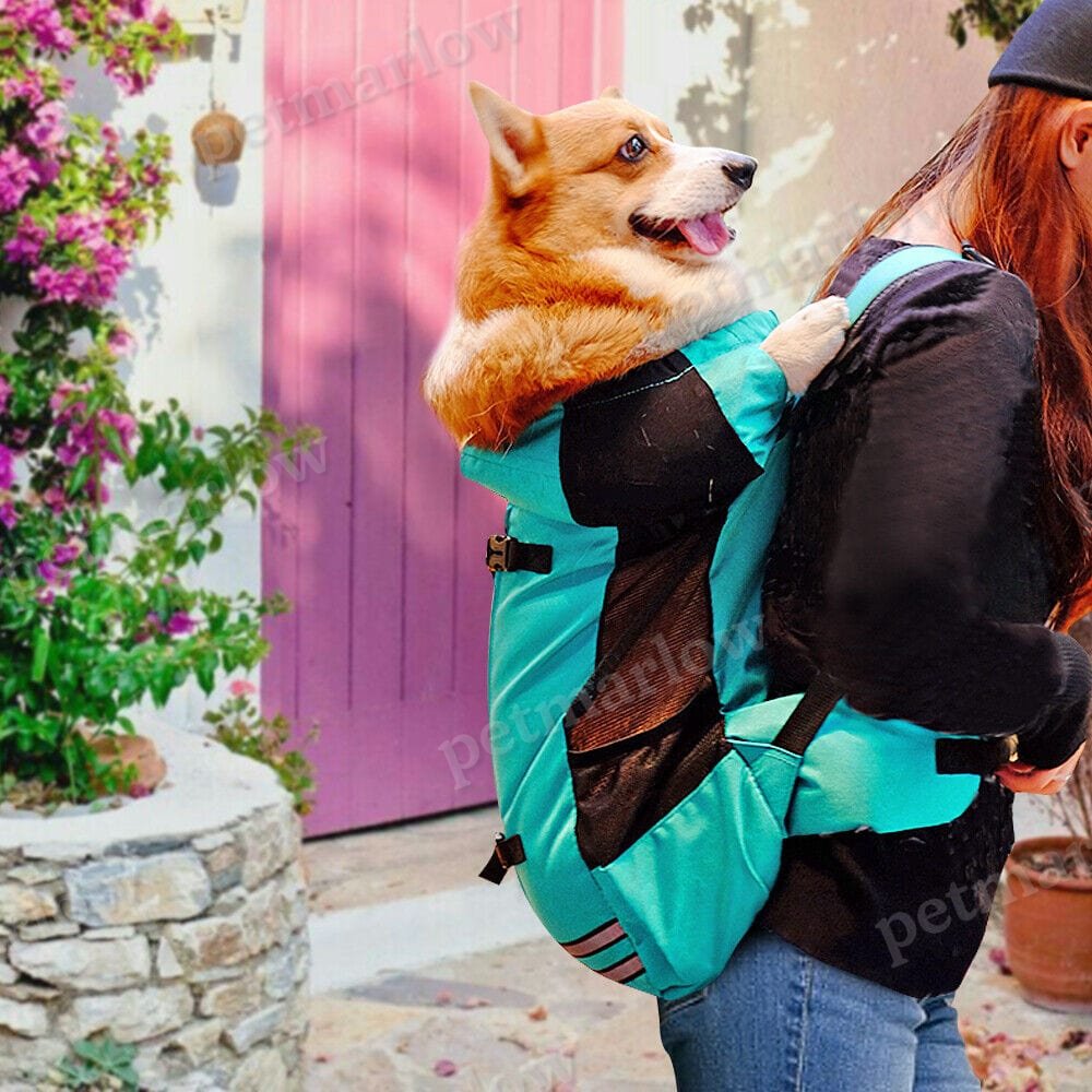 Companion Hiking Dog Backpack – view 5