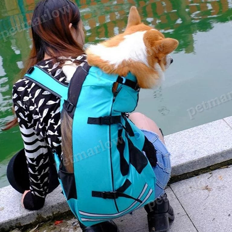 Companion Hiking Dog Backpack – view 6