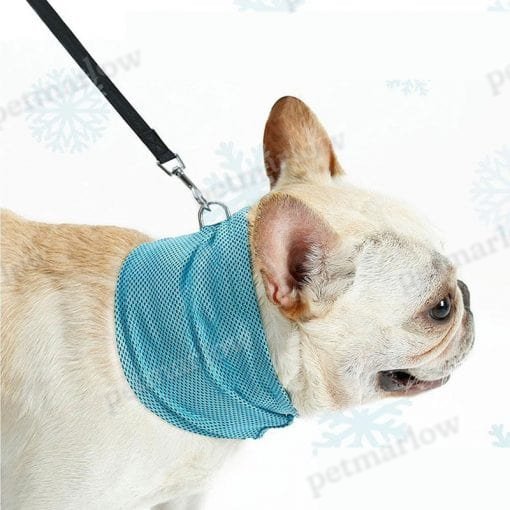 Cooling Dog Bandana – view 3