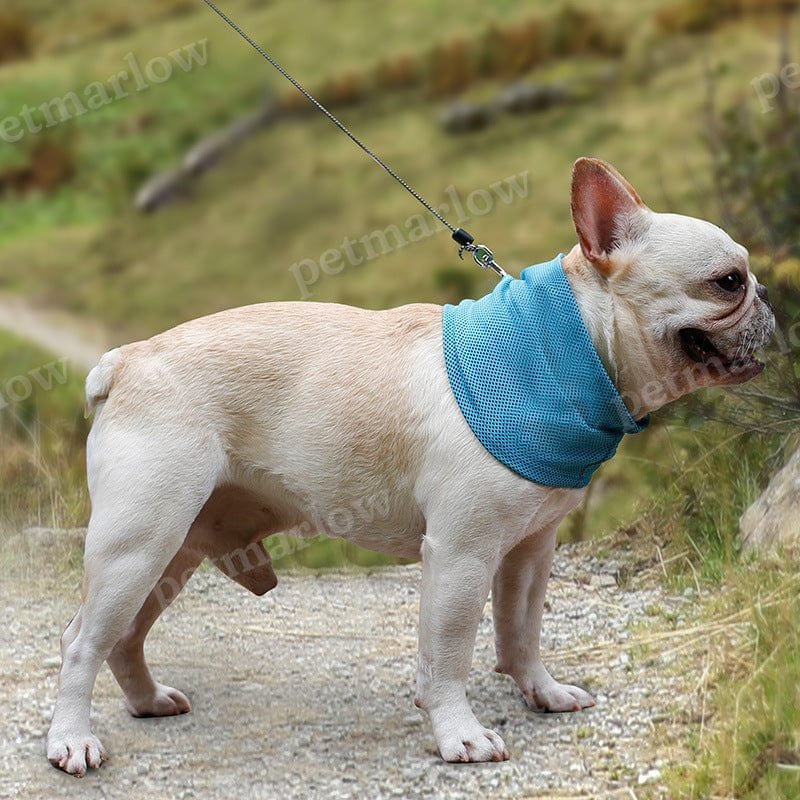 Cooling Dog Bandana – view 4