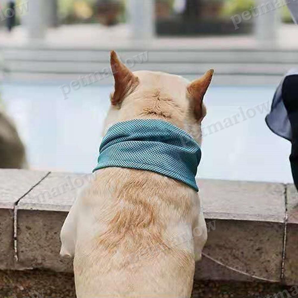 Cooling Dog Bandana – view 6