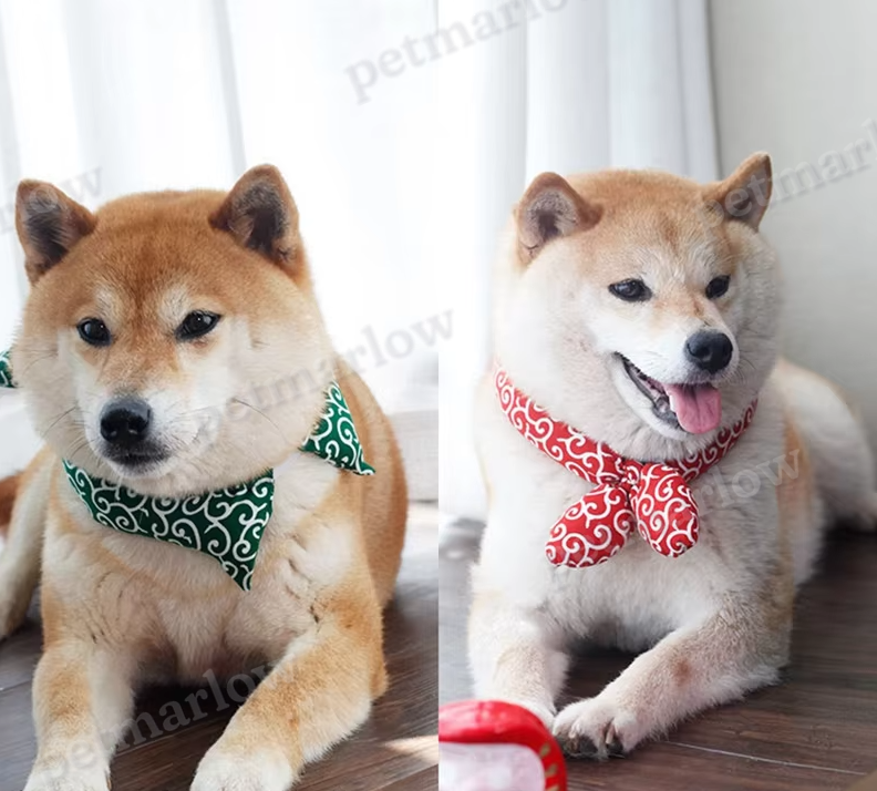 Cooling Dog Collar with Traditional Pattern for Hot Days – view 5