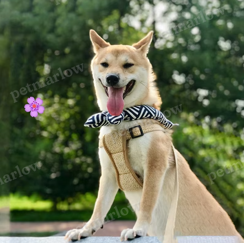 Cooling Dog Collar with Traditional Pattern for Hot Days – view 6