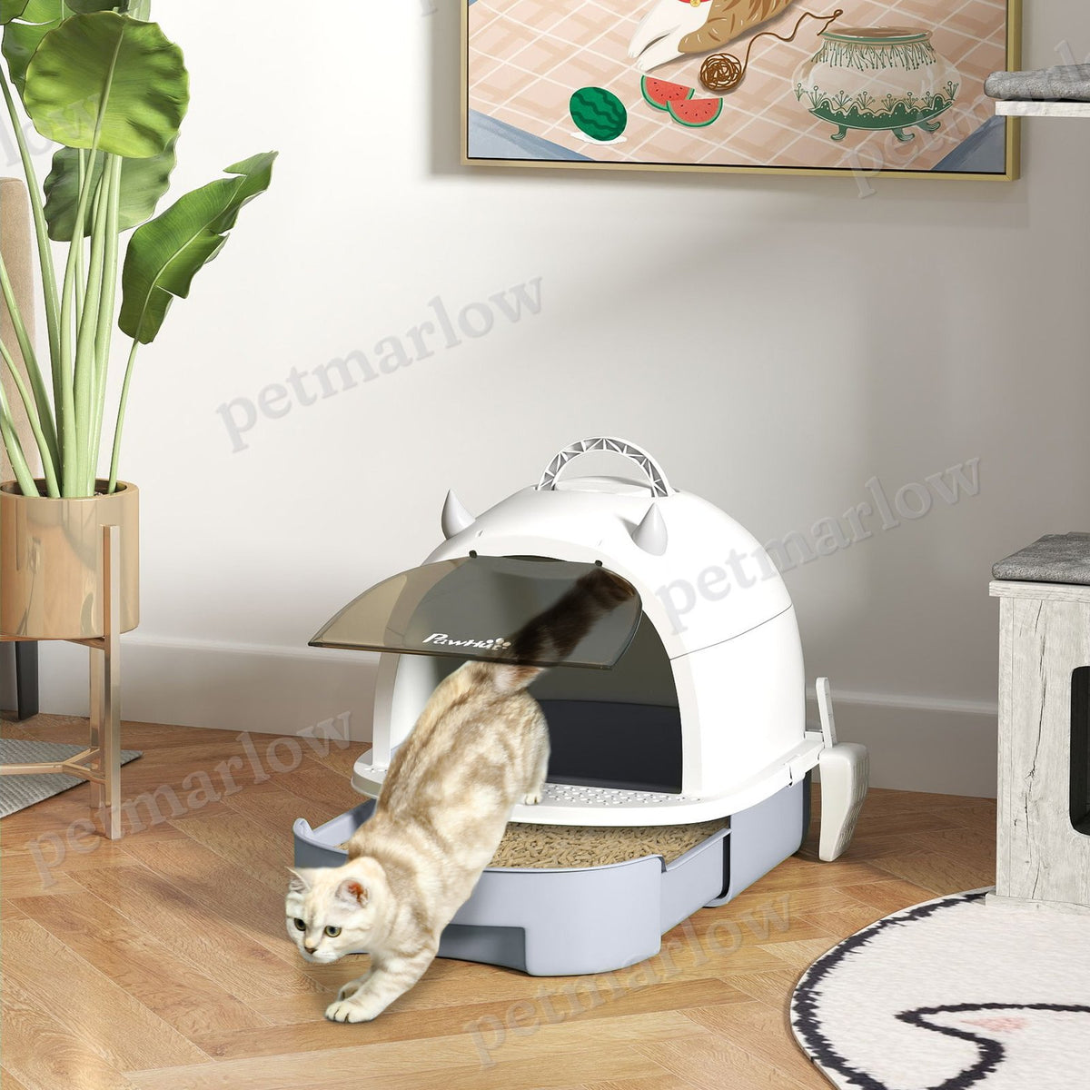 Covered Cat Litter Box for Privacy and Odor Control – view 4