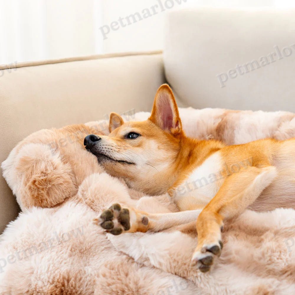 Cozy Dog Bed – For Relaxed and Comfortable Sleep – view 6