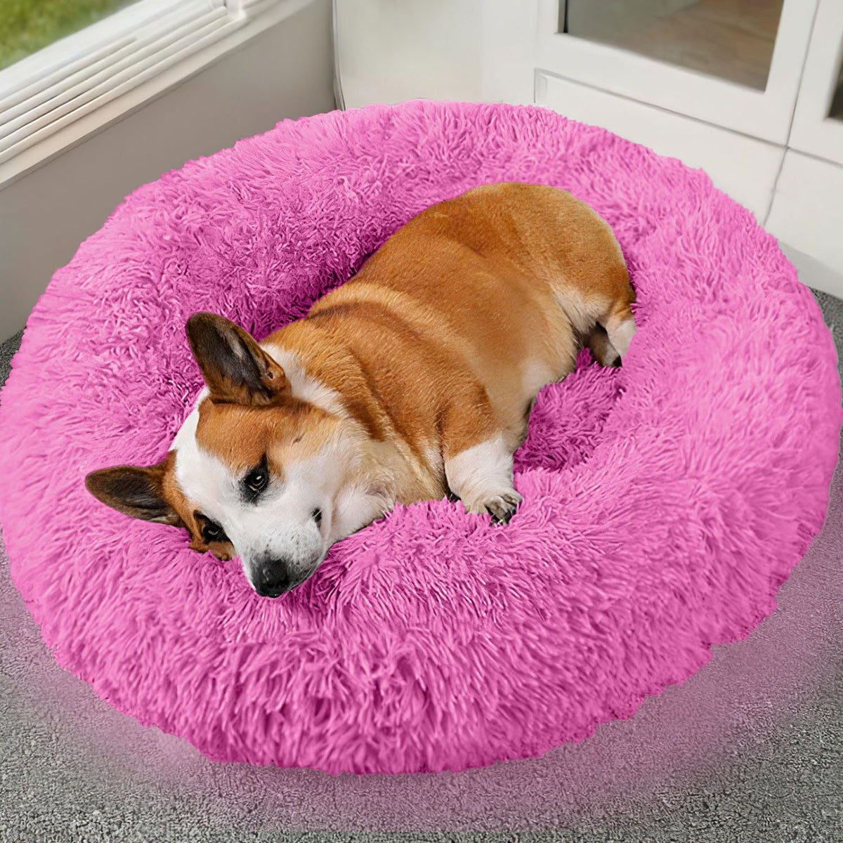 Cozy Plush Dog Bed with Supportive Rim
