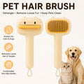 Self-Cleaning Cartoon Bear Pet Brush for Cats and Dogs