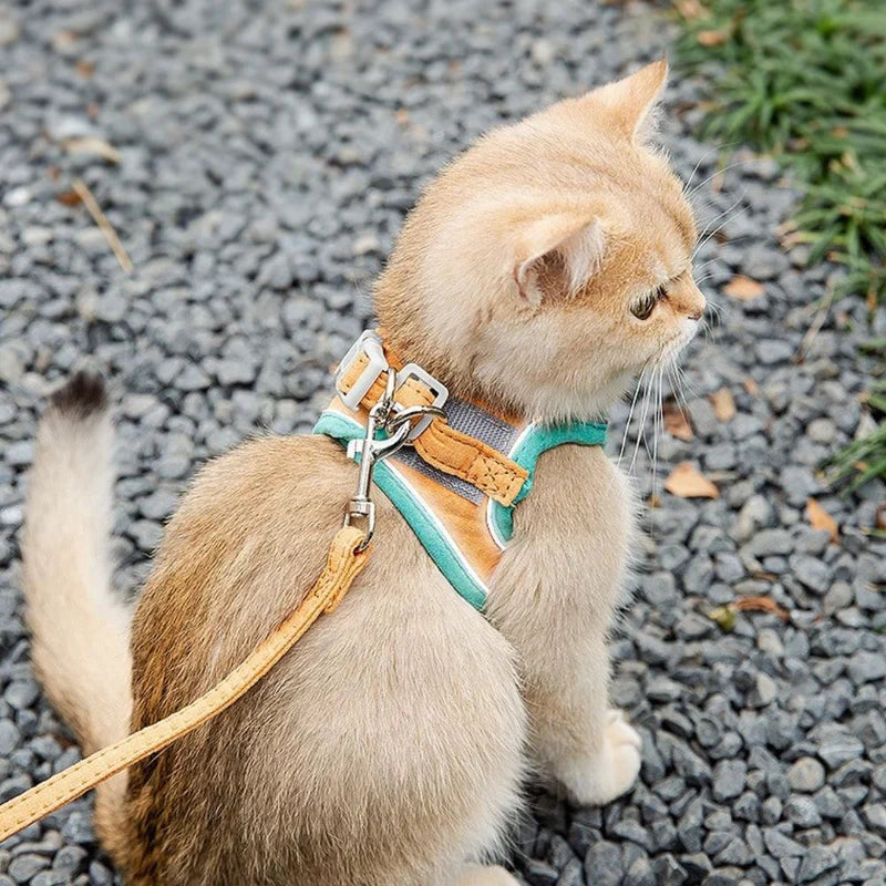 Cute Cat Harness