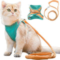 Cute Cat Harness – Orange - Teal / S