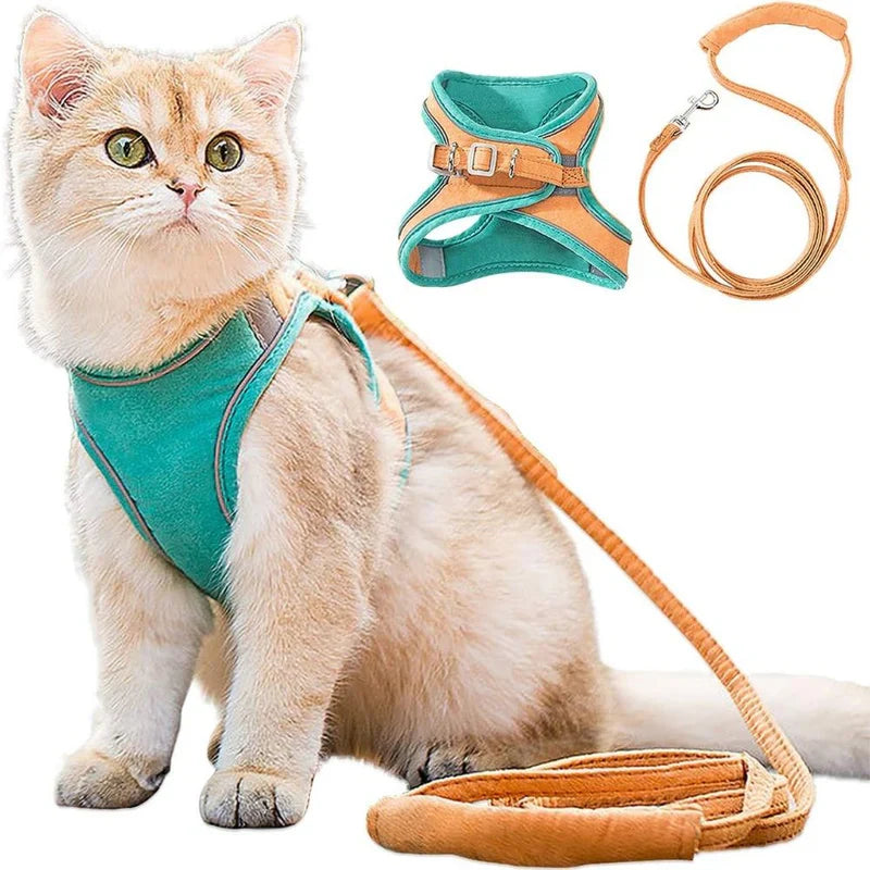 Cute Cat Harness – Orange - Teal / S