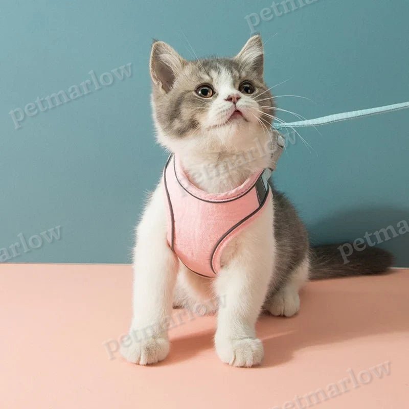 Cute Cat Harness – view 5
