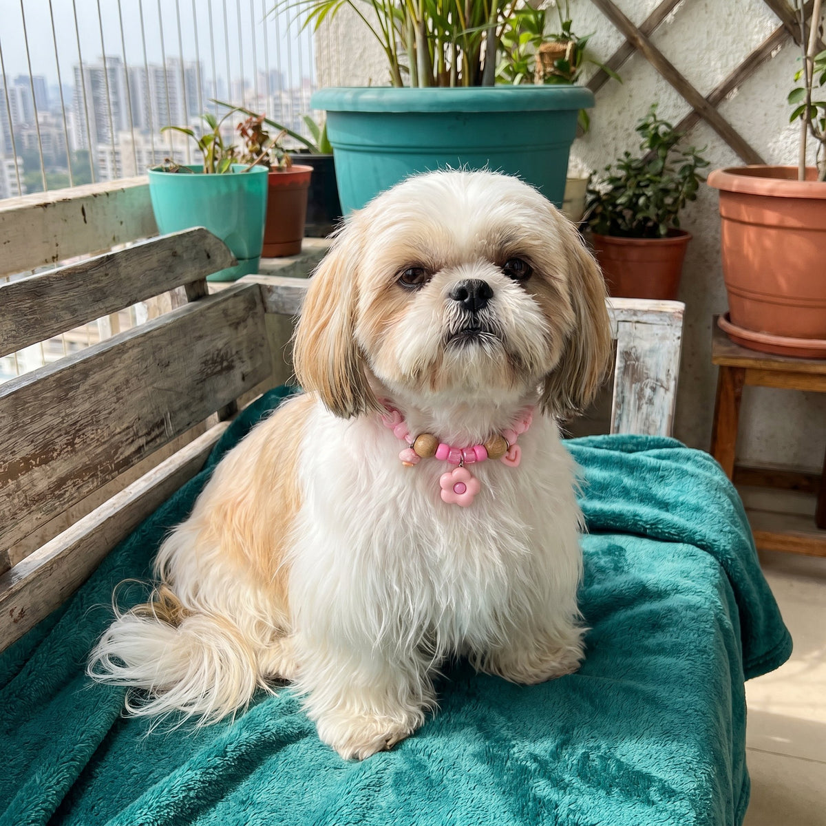 Cute collar with insect repellent for dogs – Pink / S (adjustable 16–25 cm)