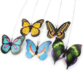 Cute Electric Butterfly/HummingBird Cat Teaser Toy – Butterfly