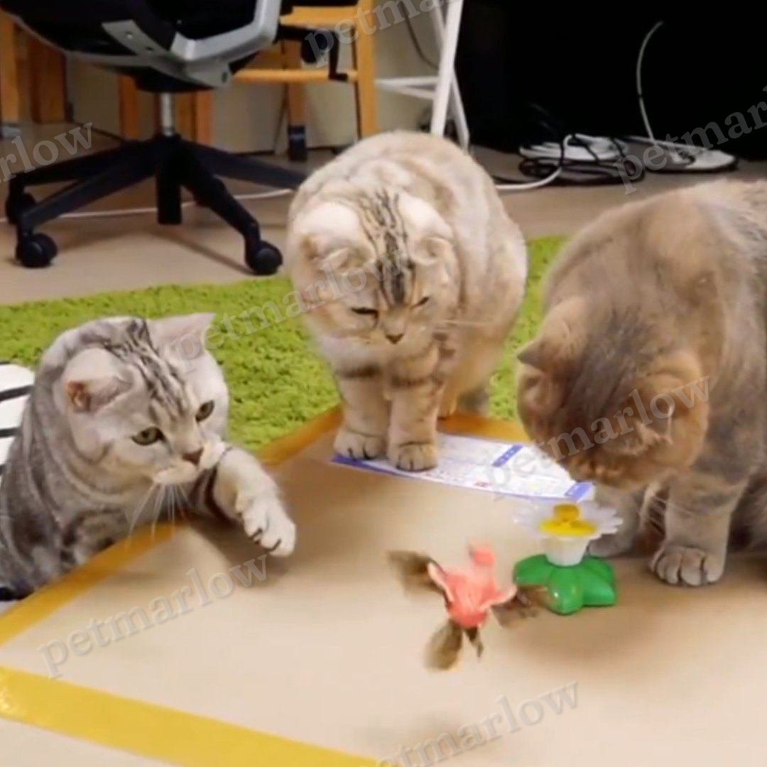 Cute Electric Butterfly/HummingBird Cat Teaser Toy – view 4