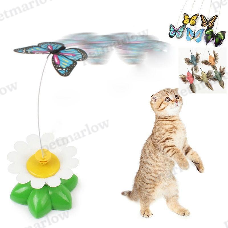 Cute Electric Butterfly/HummingBird Cat Teaser Toy – view 6
