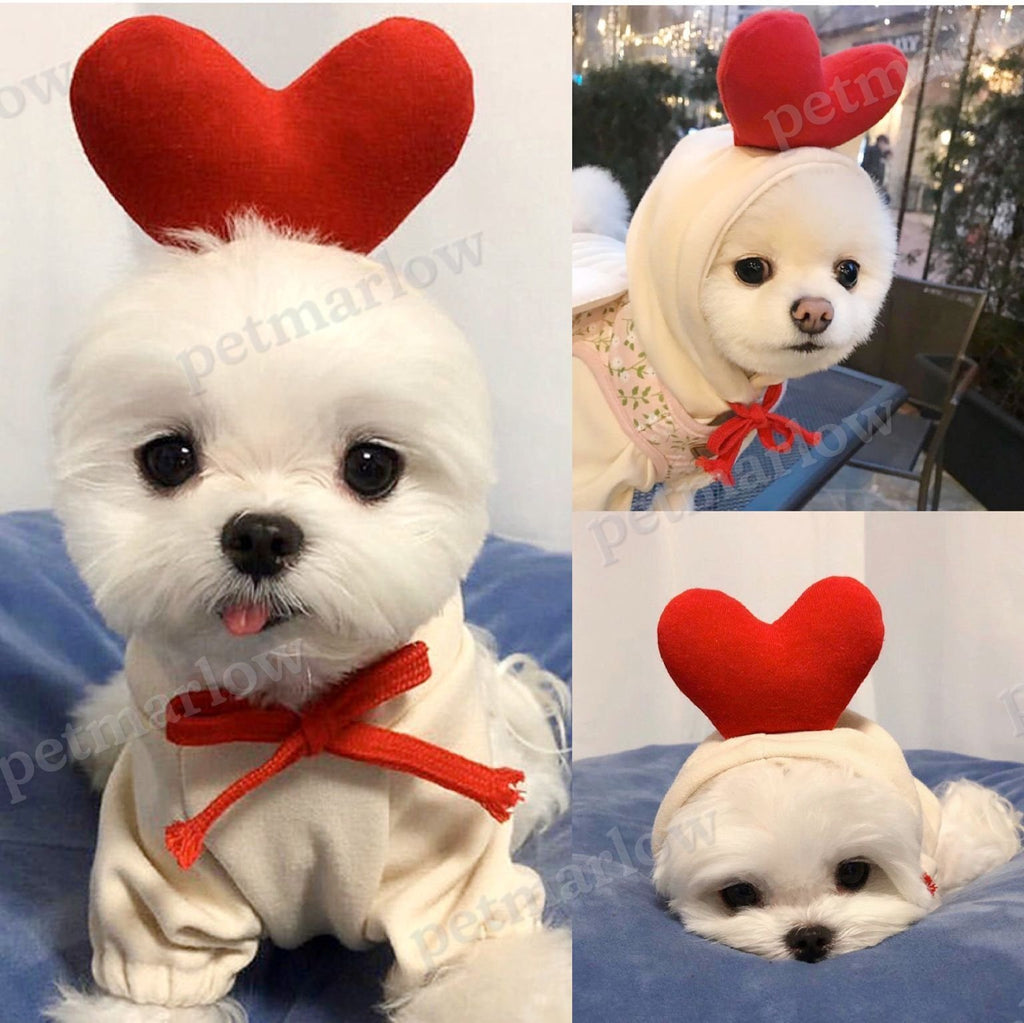 Cute Fruit Dog Clothes for Small Dogs Hoodies for Winter Warmth – view 6