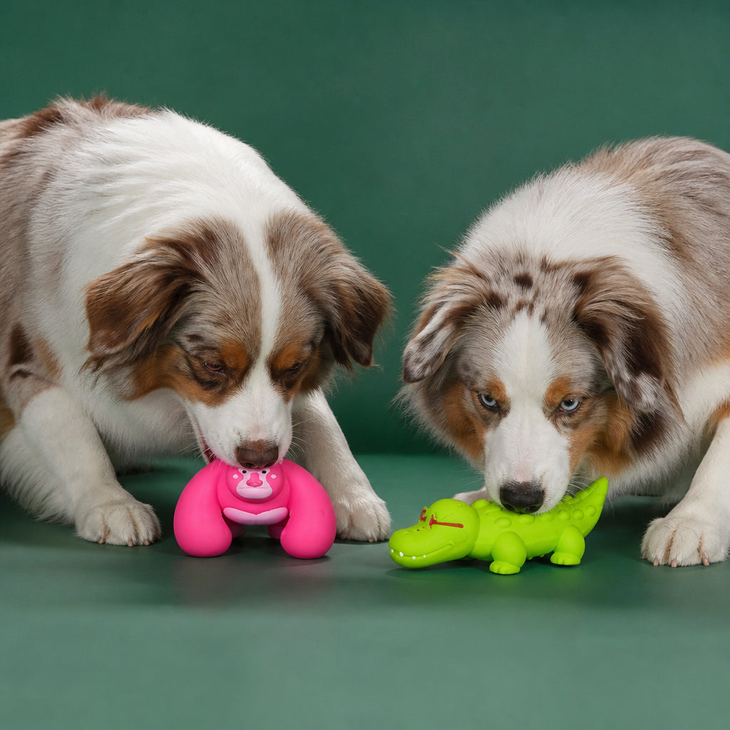 Cute Latex Chew & Squeak Dog Toy