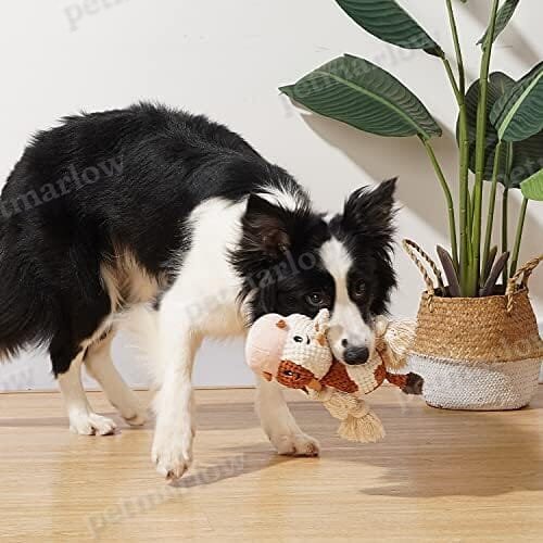 Cute Squeaky Dog Toys with Crinkle Paper – view 4