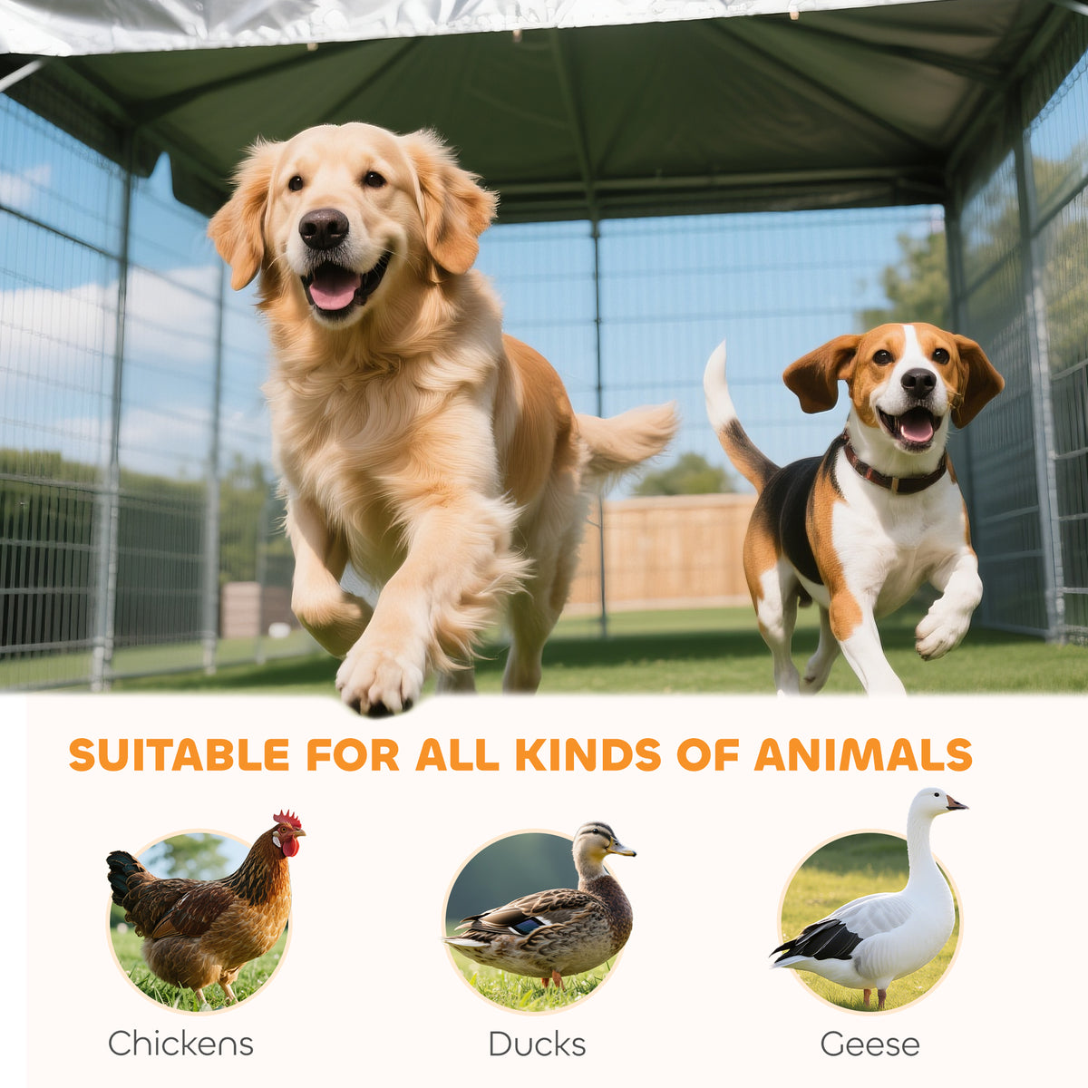 Large Outdoor Dog Kennel with Dual Rooms for Play and Privacy – view 8