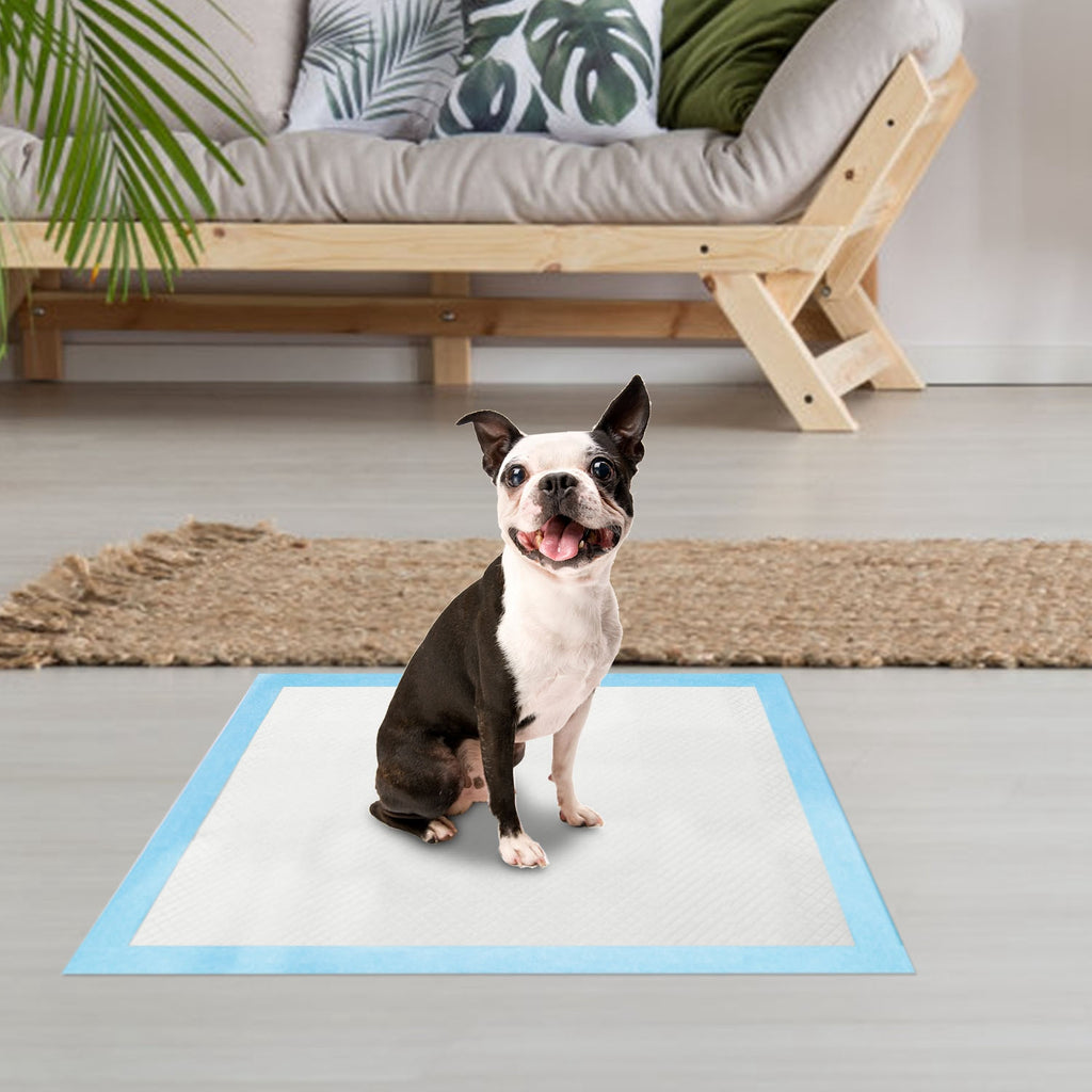50 Pack Dog Training Pads for Potty Training – view 13