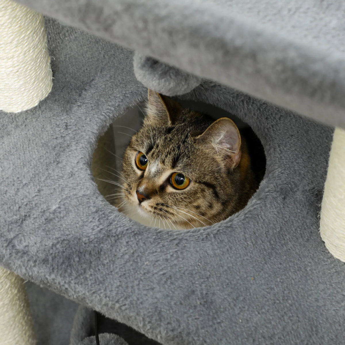 Small Cat Tree with Scratching Posts and Perch for Cats – view 7