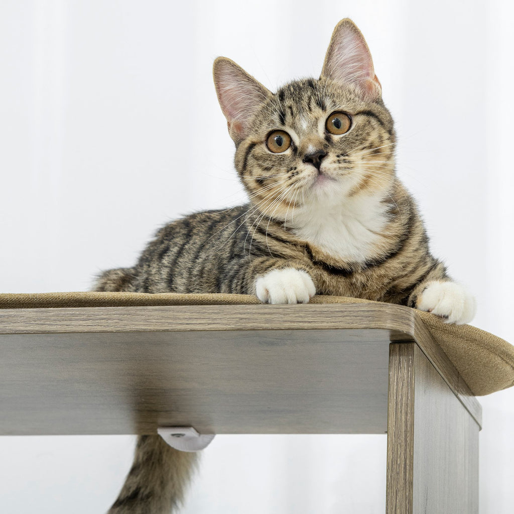 65" Corner Modern Cat Tree Tall for Climbing – view 9