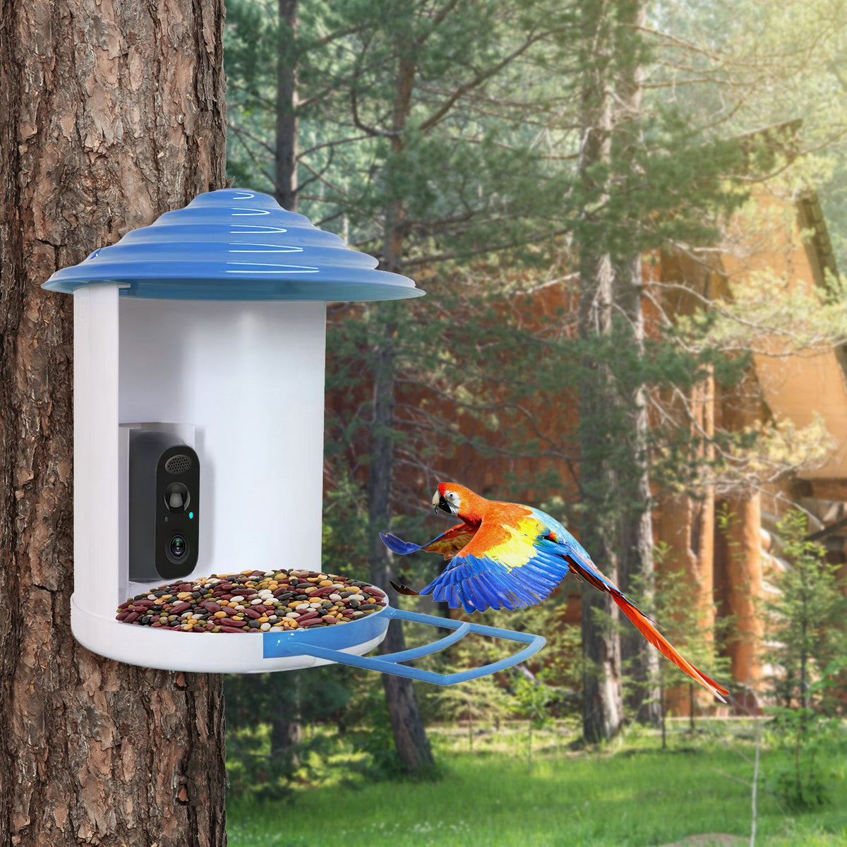 Smart Bird Feeder With Solar Camera for Bird Watching – view 8