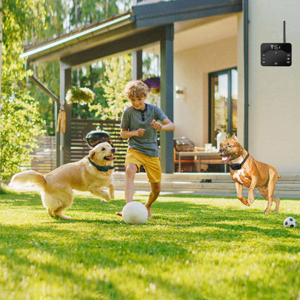 Wireless Electric Dog Fence and Training Collar System – view 9
