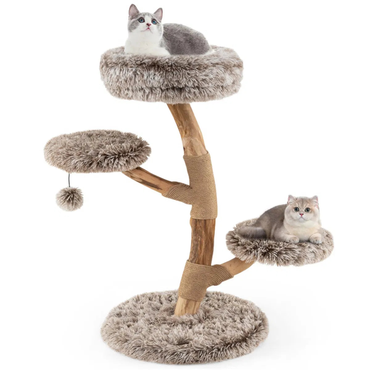 Natural Pear Wood Cat Tree with Plush Levels and Scratching Posts – view 12