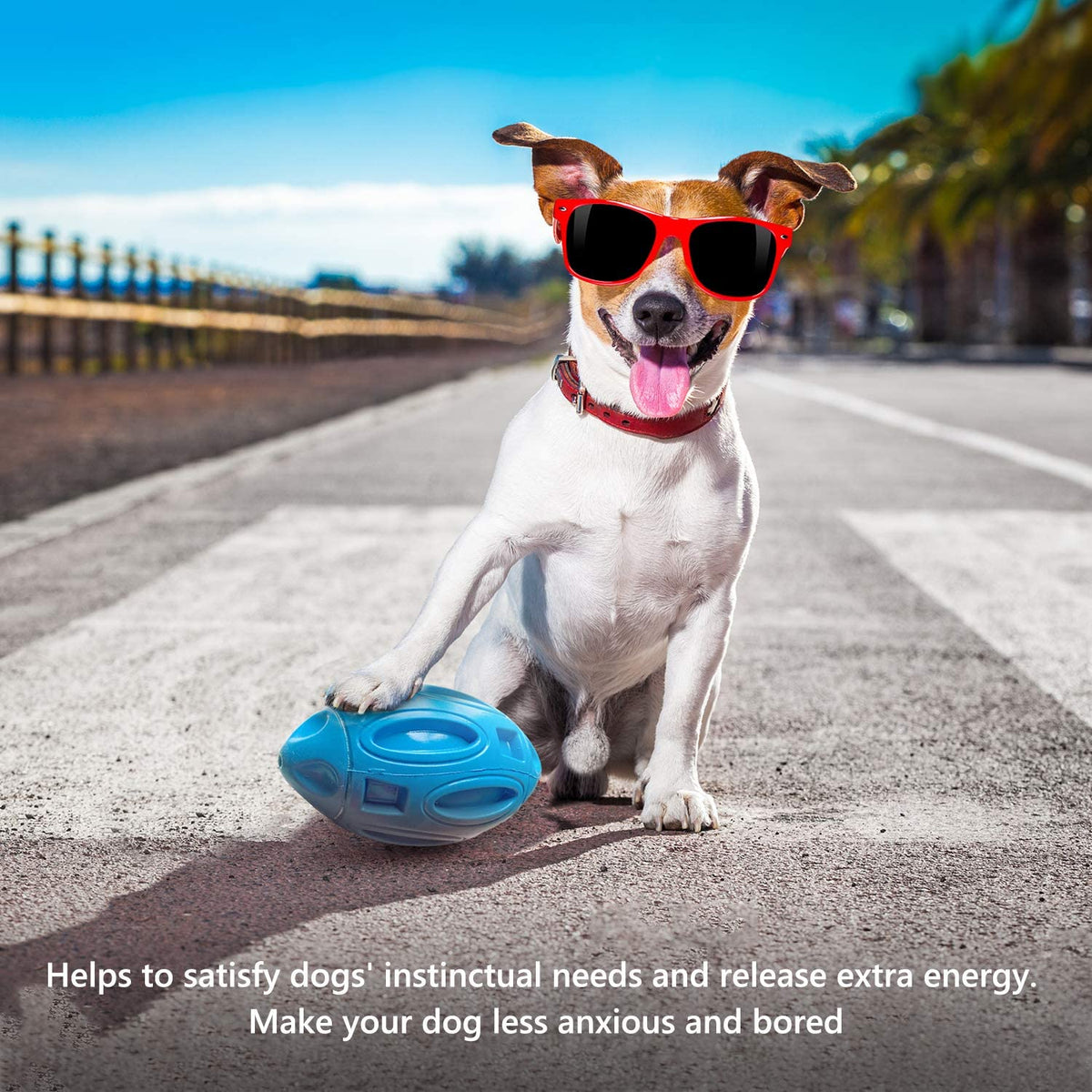 Rubber Sounding Dog Ball for Interactive Play – view 8
