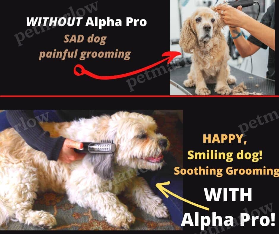 Dematting Comb for Dogs & Cats Painlessly Removes Knots & Tangles from Long Haired Dogs – view 3