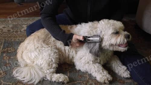 Dematting Comb for Dogs & Cats Painlessly Removes Knots & Tangles from Long Haired Dogs – view 5