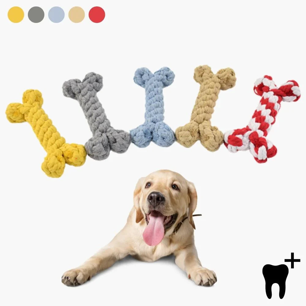 Dental Hygiene Toys for Dogs