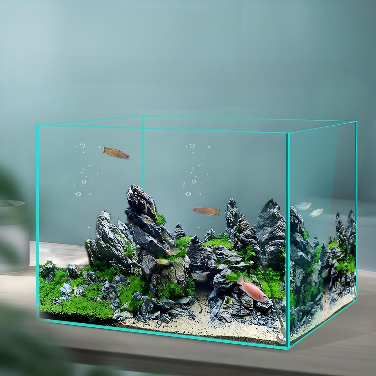 Desktop Glass Fish Tank