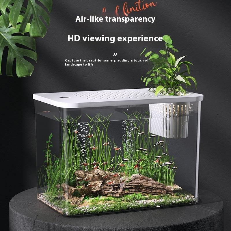 Desktop Plastic Betta Fish Tank With Cover For Home Decor