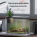 Desktop Plastic Betta Fish Tank With Cover For Home Decor – Black With Cover