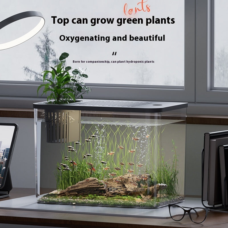 Desktop Plastic Betta Fish Tank With Cover For Home Decor – Black With Cover