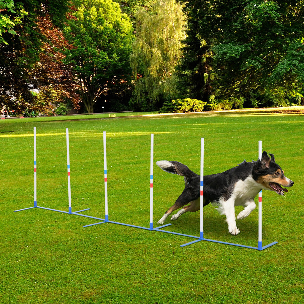 Dog Agility Equipment Weave Pole Set