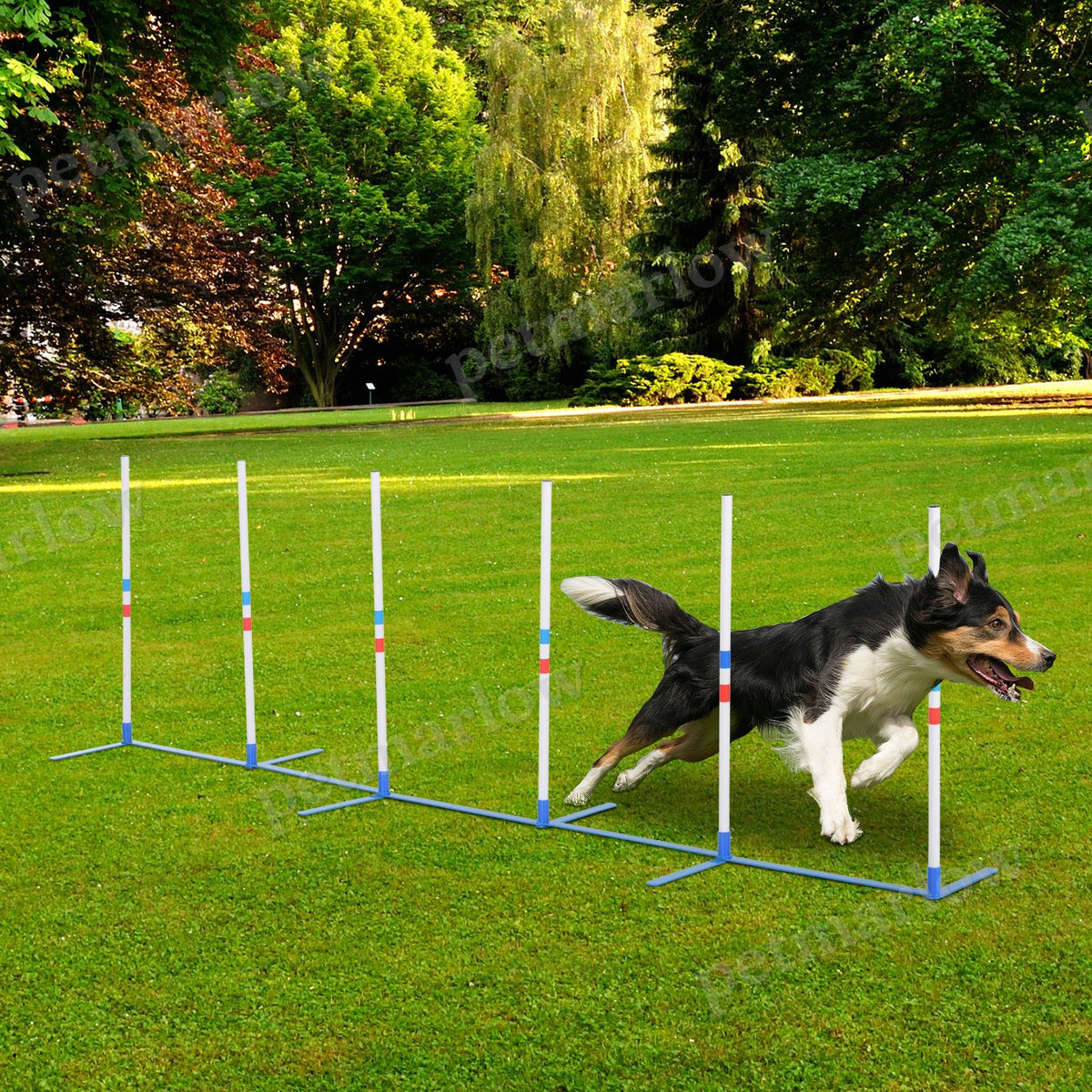 Dog Agility Equipment Weave Pole Set – view 6