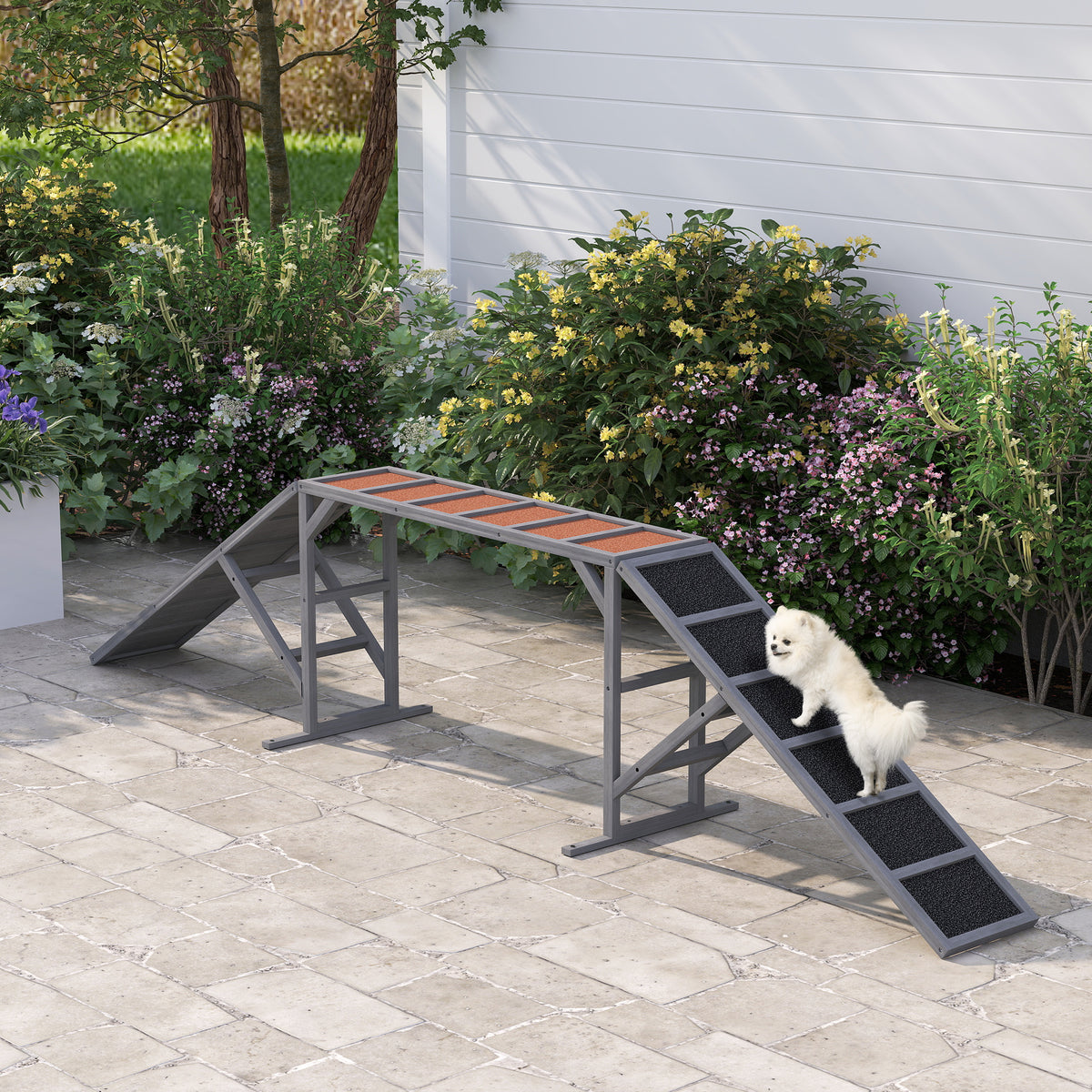 Dog Agility Training Ramp with Safety Bar