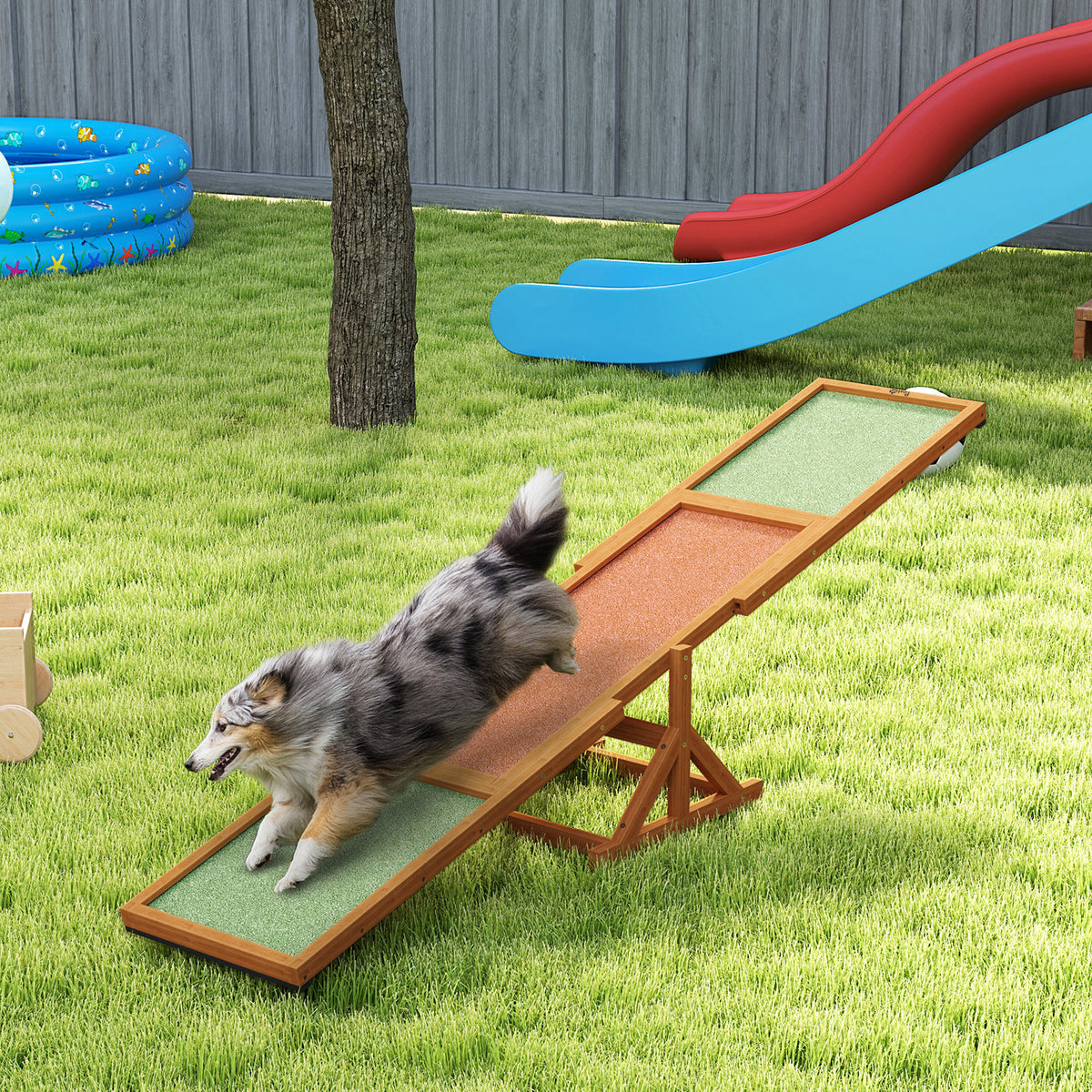 Dog Agility Seesaw for Training and Exercise