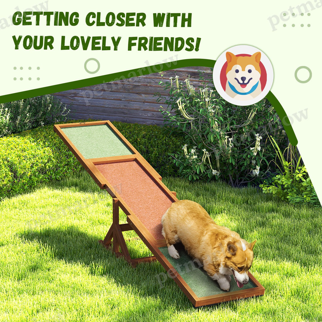 Dog Agility Seesaw for Training and Exercise – view 3