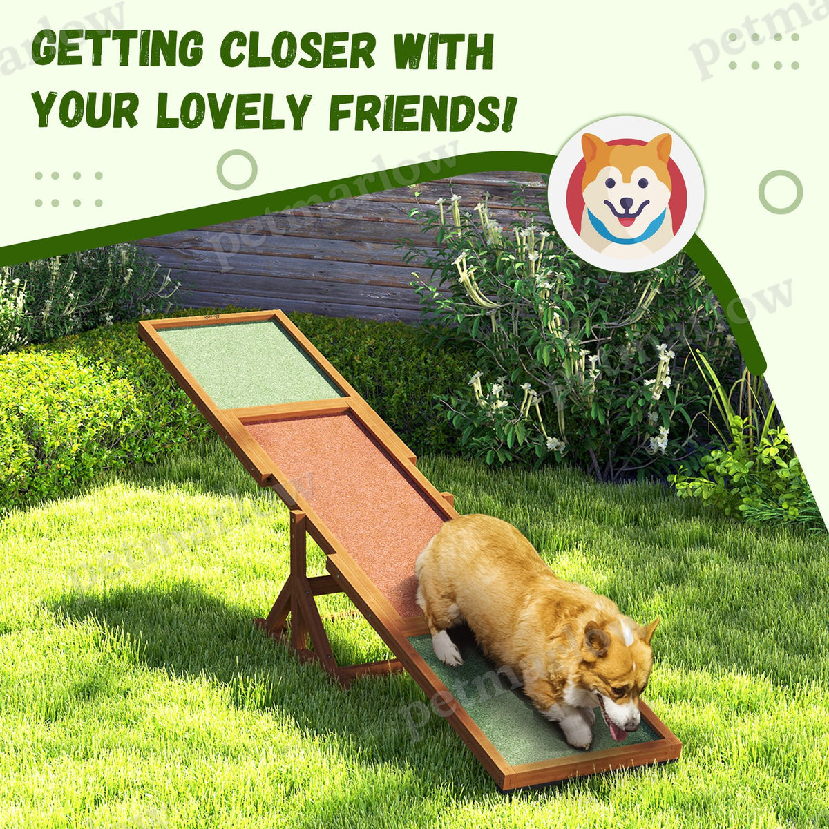 Dog Agility Seesaw for Training and Exercise – view 3