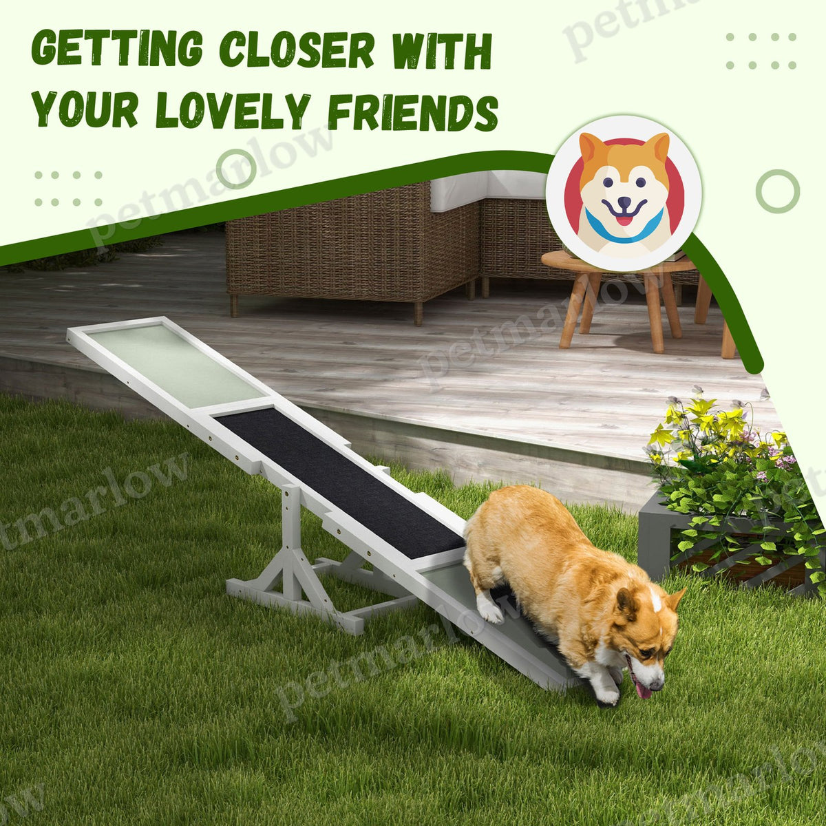 Dog Agility Seesaw for Training and Exercise – view 4