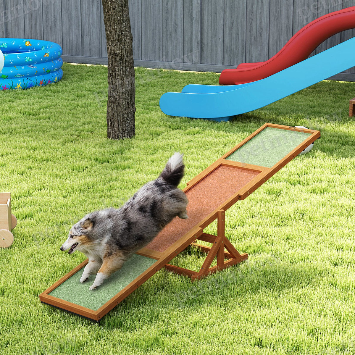 Dog Agility Seesaw for Training and Exercise – view 4